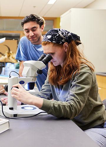 A student inspects a sample under a microscope while another looks on